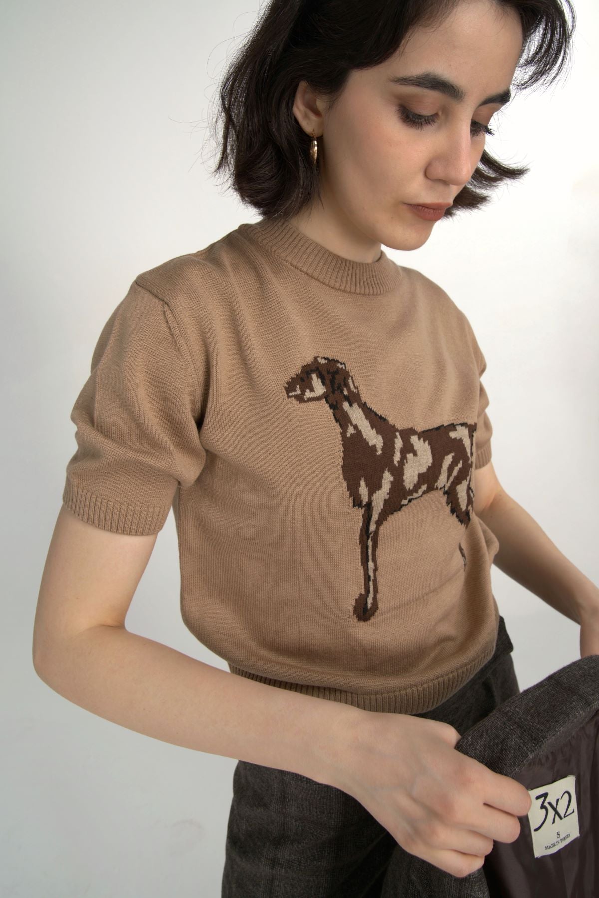 Dog Figured Short Sleeve Sweater