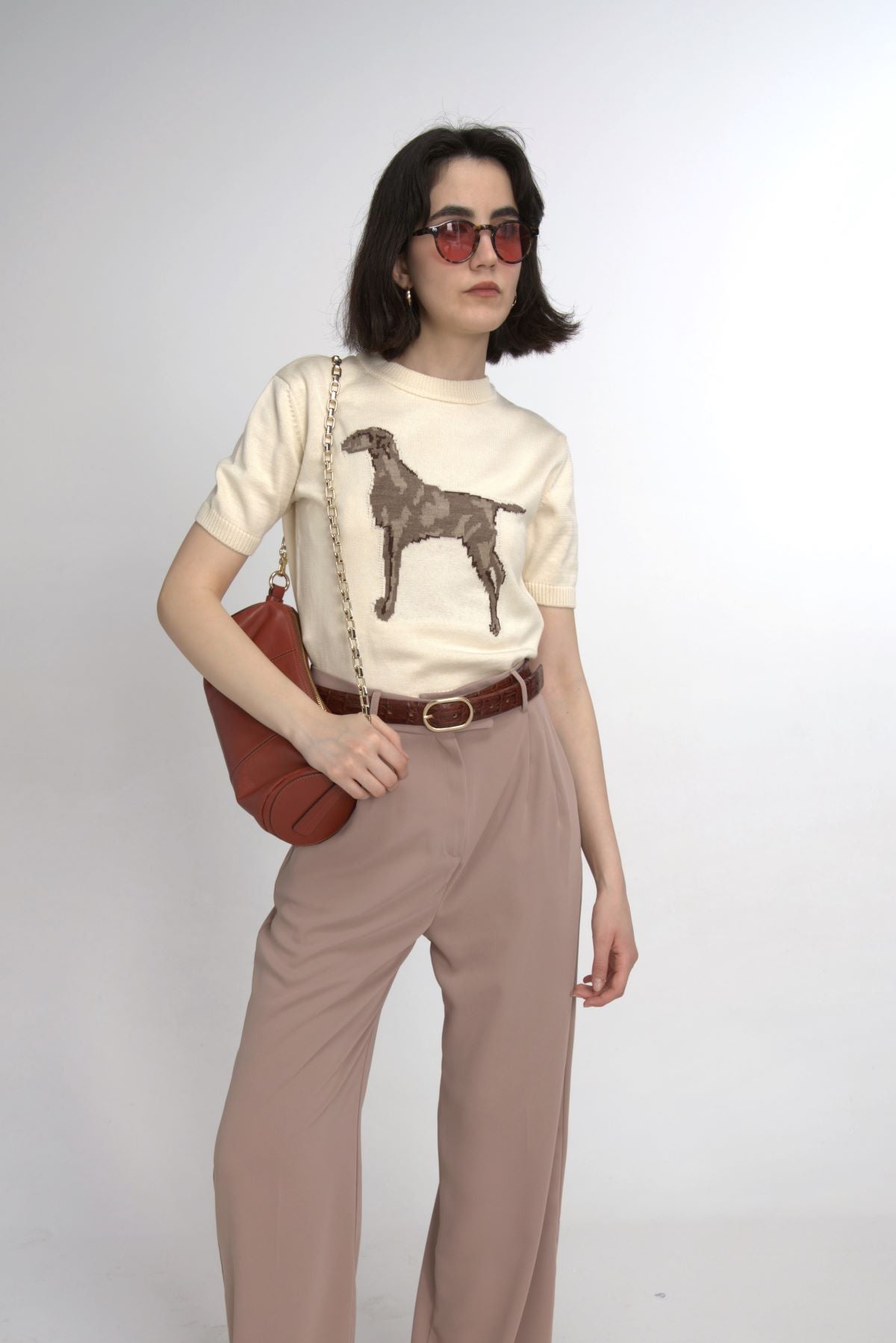 Dog Figured Short Sleeve Sweater