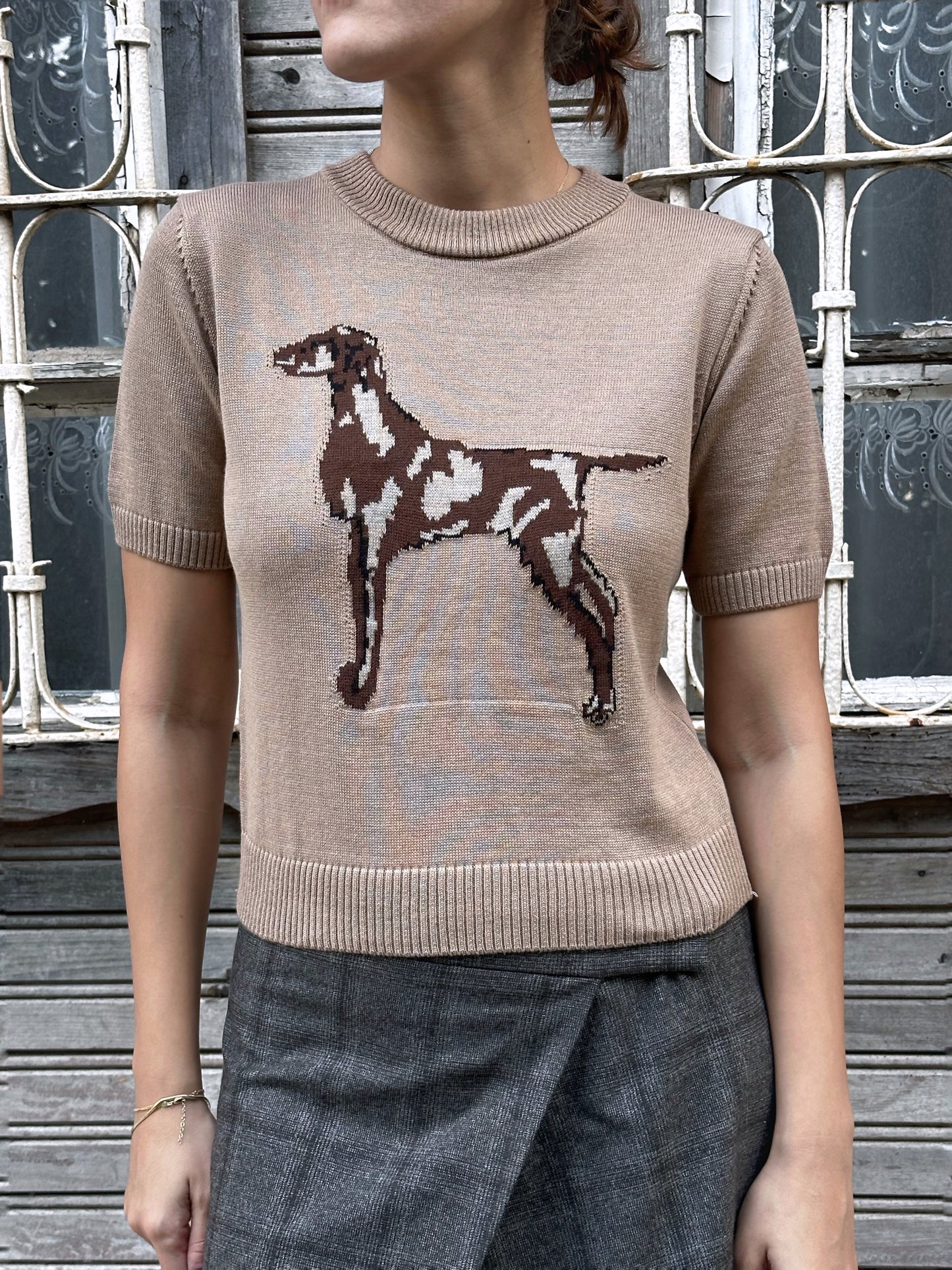 Dog Figured Short Sleeve Sweater