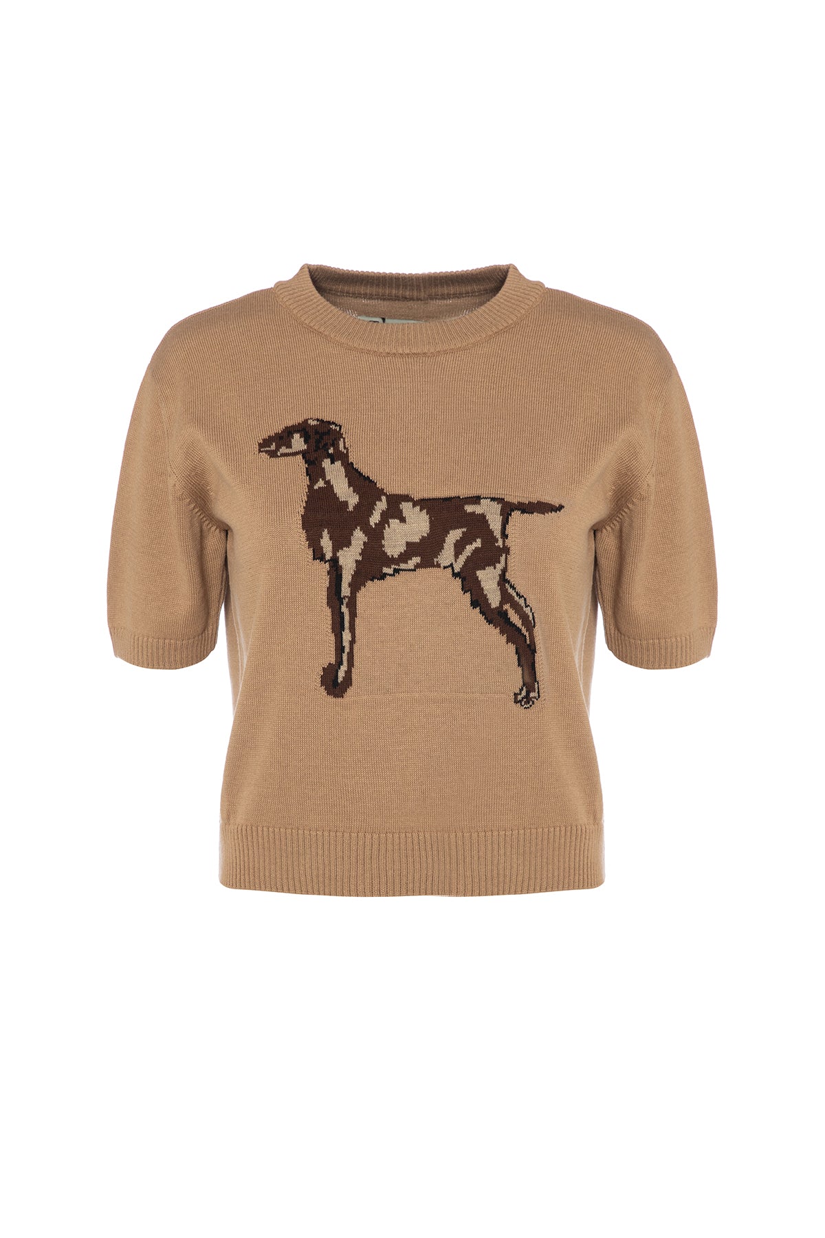 Dog Figured Short Sleeve Sweater